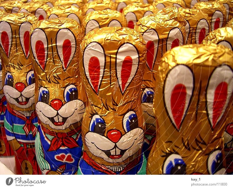 Easter team Hare & Rabbit & Bunny Chocolate Leisure and hobbies Spring Easter Bunny chocolate bunnies Easter surprise