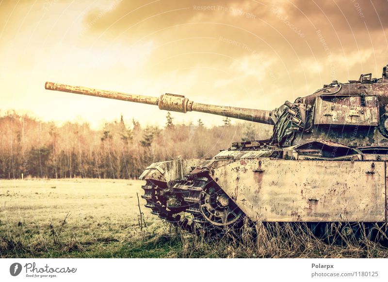 Tank on a filed Camping Engines Nature Landscape Autumn Tree Grass Forest Transport Old Historic Retro Green War ammo ammunition armored Armour army attack