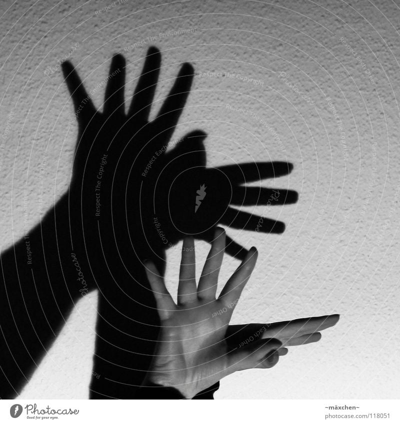 Shadow Bird Hand Fingers Fingernail Nail polish Wall (building) Wallpaper Ingrain wallpaper Light Dark Shadow play Black White Gray Gray scale value