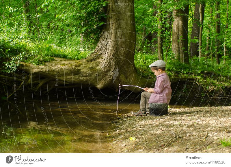 Fishing Human being Child Toddler Boy (child) 1 1 - 3 years 3 - 8 years Infancy Nature Spring Tree Forest River bank Playing Joy Happy Fishing (Angle)