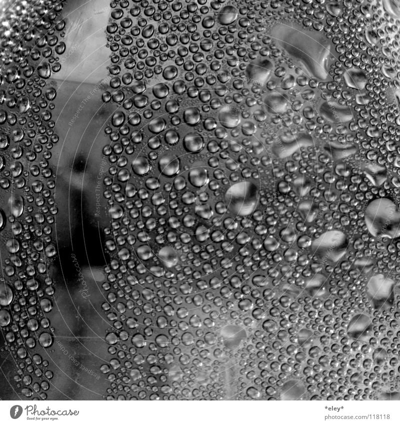dance with drops Refreshment Window Clarity Black White Gray Refrigeration Cold Damp Wet Effervescent Black & white photo Water Dance Silver Drops of water