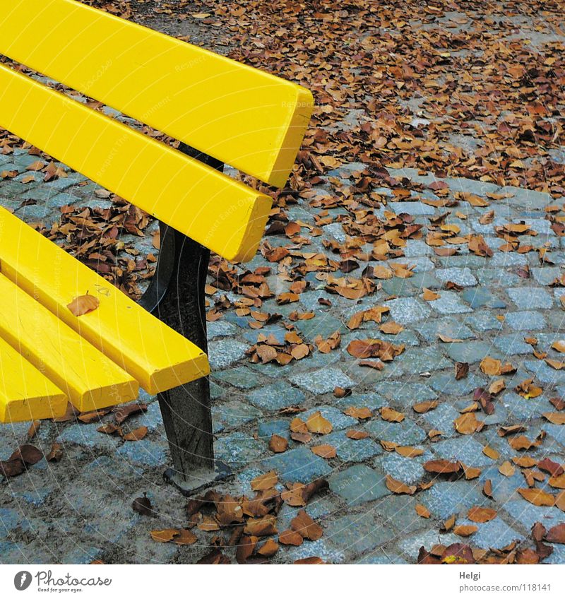 Part of a yellow bench on cobblestone pavement with autumn leaves Autumn Park Park bench Pave Leaf To fall Stand Loneliness Together Side by side Gray Black