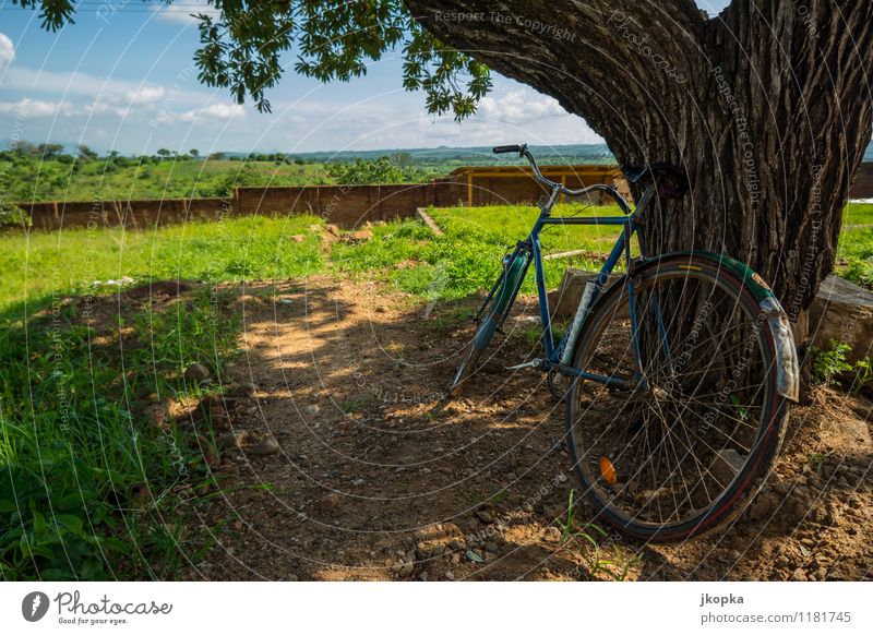 bicycle leans against a tree in malawi Far-off places Cycling tour Summer Sun Bicycle Landscape Clouds Beautiful weather Means of transport Relaxation Free