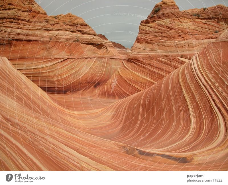 The Wave 4 Erosion Coyote Buttes North America Rock Stone Landscape wave Nature