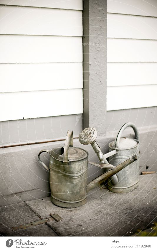 Old love doesn't rust Lifestyle Living or residing Garden Gardening Watering can zinc Metal Simple Together Gray Moody Senior citizen Idyll Dented Colour photo