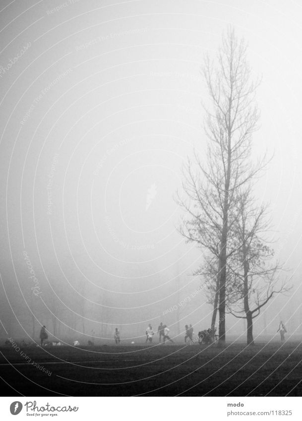 Human Being Tree Winter A Royalty Free Stock Photo From Photocase