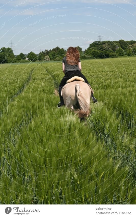 off through the hedge Hair and hairstyles Equestrian sports Ride Feminine Back 1 Human being Nature Agricultural crop Field Red-haired Horse Walking Running