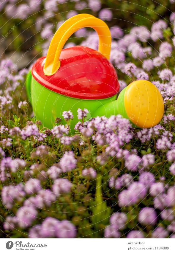 water cannon Gardening Summer Nature Plant Spring Thyme Watering can Toys children's watering can Plastic Blossoming Cute Yellow Green Violet Orange Red Joy