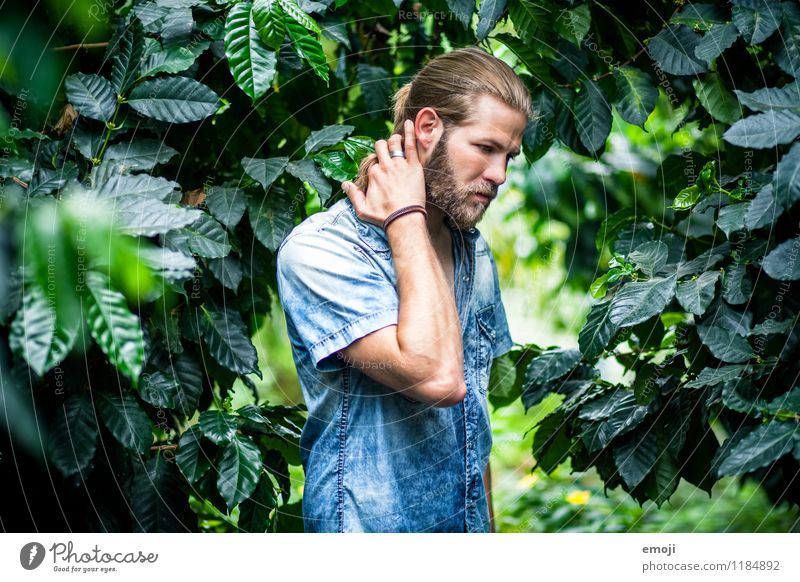 Free Images : blur, casual, expression, facial, fashion, fashionable, fine,  free, images, good, guy, hairstyle, looking, male, man, model, outdoor,  person, photoshoot, pose, sunglasses, wear, tree, jungle, old growth  forest, rainforest, woodland,