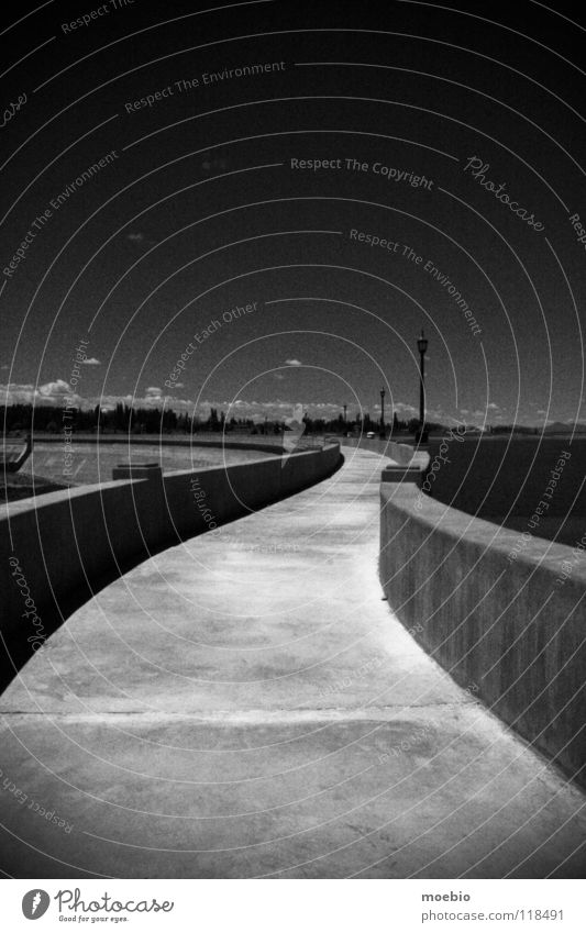 Víbora Sky Viper Retaining wall Concrete Dark Curve Manmade structures Frontier fortifications Argentina Industry Black & white photo cement coulds curved