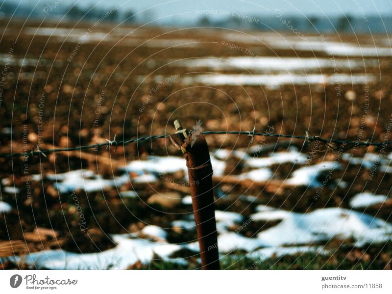 fence Fence Barbed wire Winter Autumn Landscape Rust Old