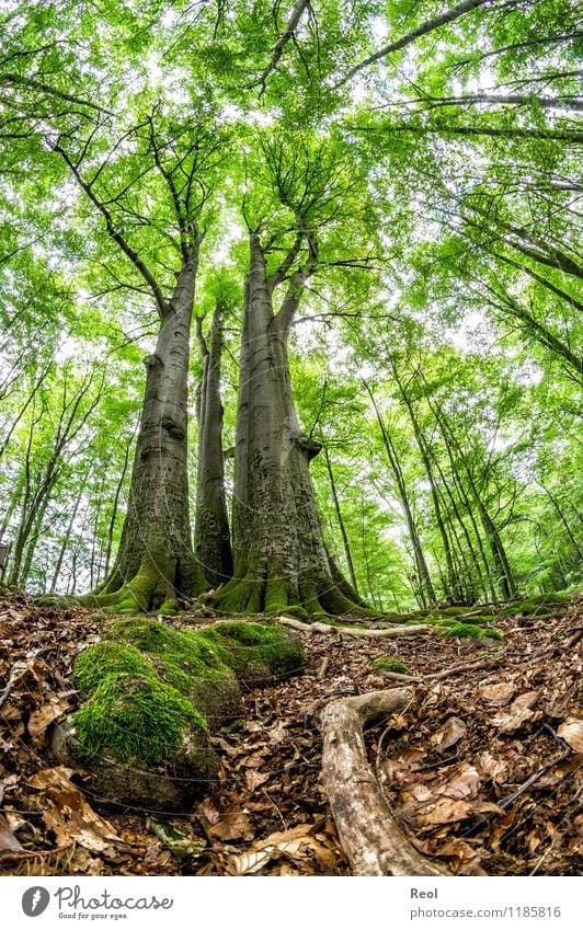 Book Nature Landscape A Royalty Free Stock Photo From Photocase