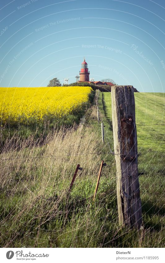 At the edge of the field Landscape Spring Beautiful weather Plant Grass Agricultural crop Field Tower Lighthouse Blue Yellow Green Canola Canola field