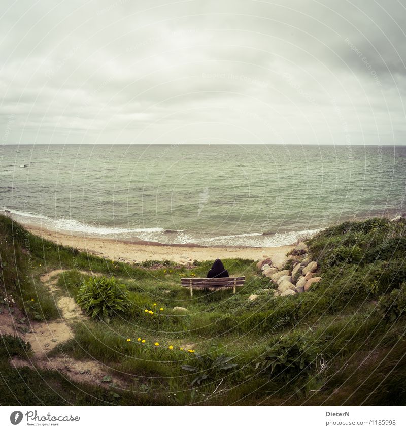 rest Environment Nature Landscape Sand Water Spring Weather Bad weather Flower Grass Coast Baltic Sea Gray Green Waves Horizon Ledge Bench Rock Colour photo