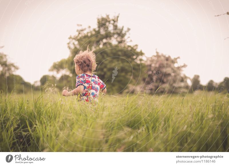 Wops in the grass Androgynous Child Toddler Boy (child) Infancy Life Hair and hairstyles 1 - 3 years 3 - 8 years Nature Curl Running Romp Curiosity Wild Freedom
