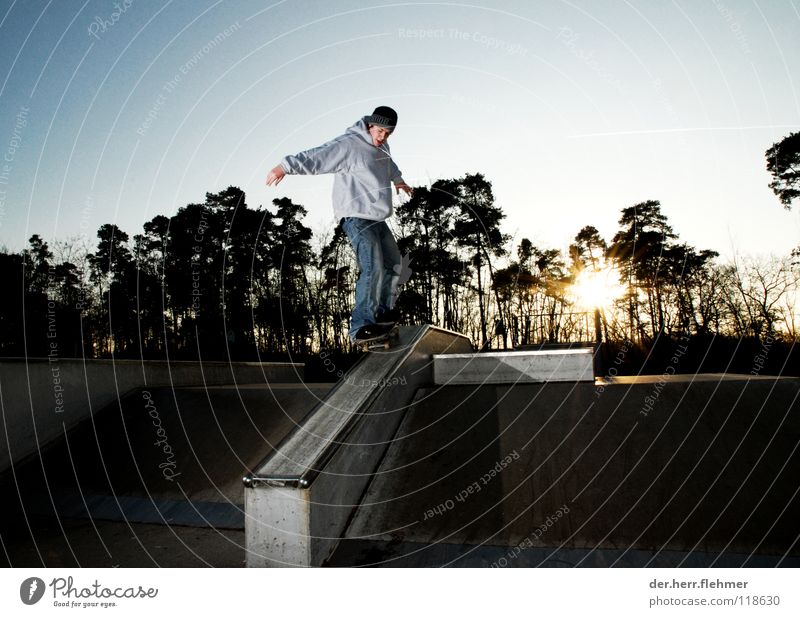 50/50 Skateboarding Sweater Sports ground Back-light Grind Contentment Tree Park Broken Playing funbox Sun Shadow Individual