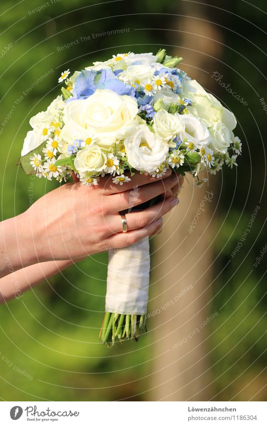 wedding details VI Young woman Youth (Young adults) Hand Fingers 18 - 30 years Adults Rose blossom Camomile blossom Hydrangea blossom Accessory Ring