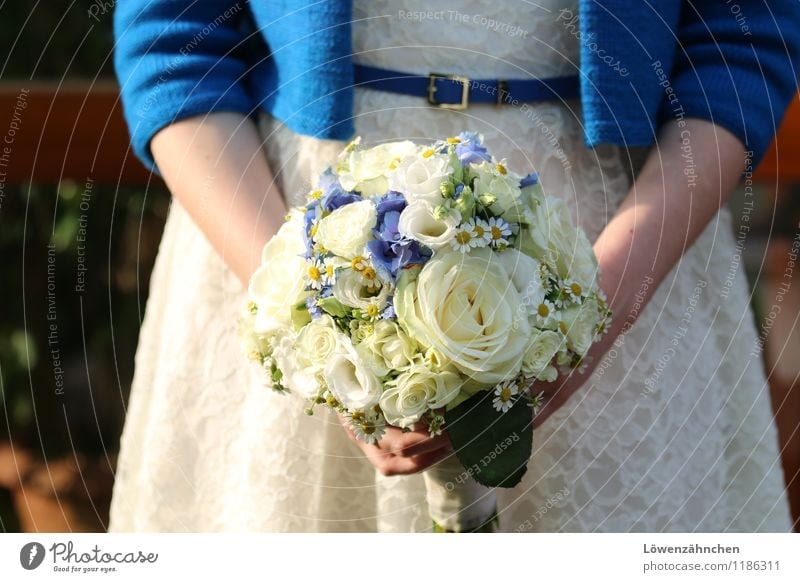 wedding details II Feminine Young woman Youth (Young adults) 18 - 30 years Adults Rose Hydrangea blossom Camomile blossom Dress Wedding dress Cardigan Belt