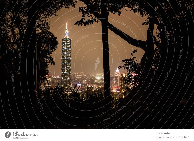 Taipei 101 Tree Taiwan Asia Town Capital city Downtown Outskirts Skyline House (Residential Structure) High-rise Bank building Park Manmade structures Building