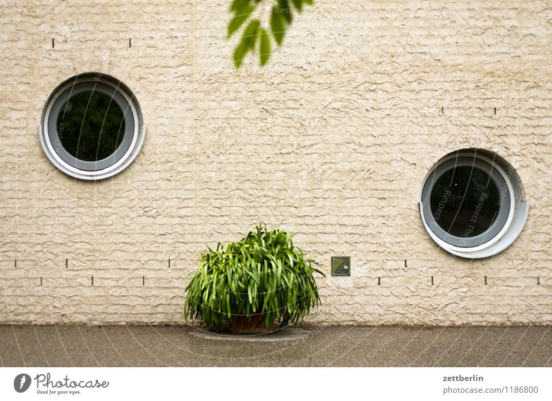 NEO SMOKING House (Residential Structure) Building Window Round Porthole Plant Foliage plant Pot plant Orangery Orangerie Wall (barrier) Wall (building)