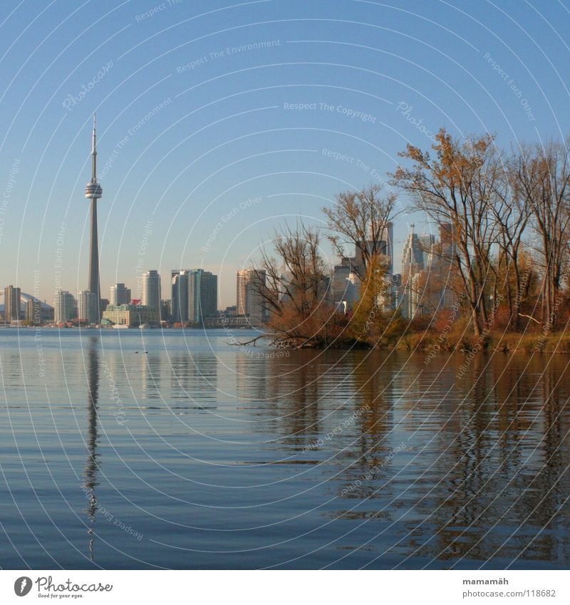 Toronto's skyline by day High-rise House (Residential Structure) Lake Tree Reflection Autumn Waves Bird Skyline CN Tower Water Blue Coast Island Toronto Iceland