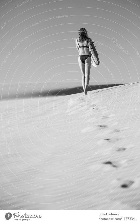 fleuve Art Esthetic Contentment Desert Tracks Barefoot Woman Surfing Walking Womens back Surfboard Summer vacation Summery To go for a walk Eroticism