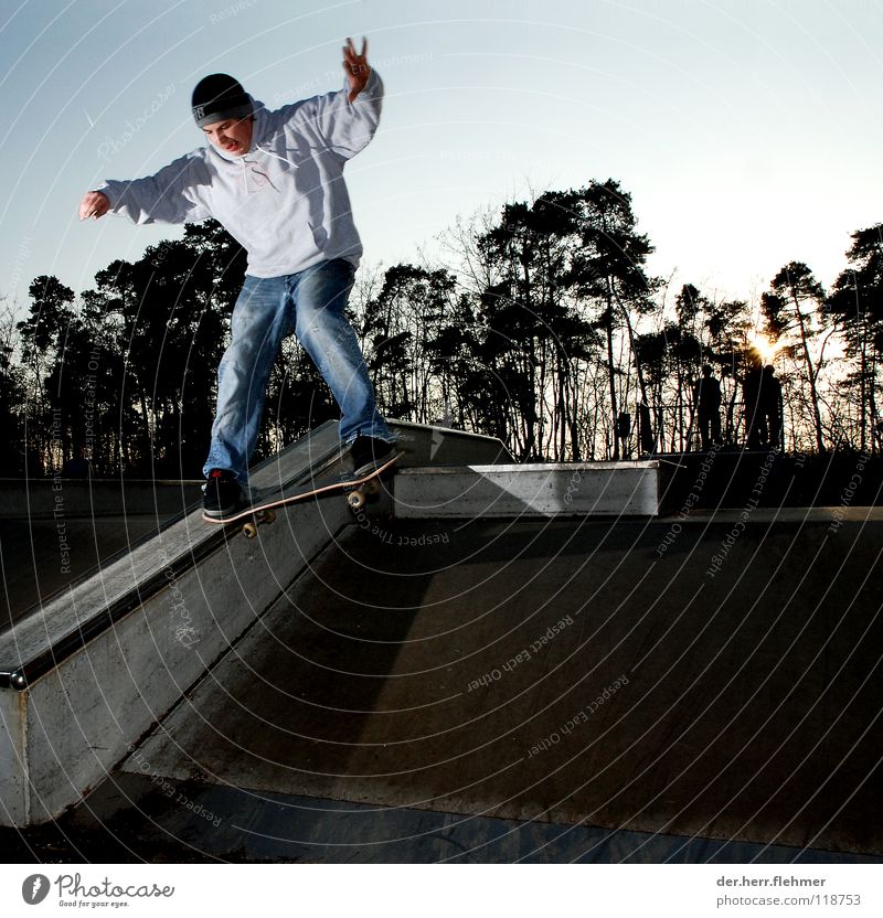 nosegrind Skateboarding Sports ground Tree Wood Concrete Sunset Style Playing funxbox couping Metal Shadow Crazy scurf
