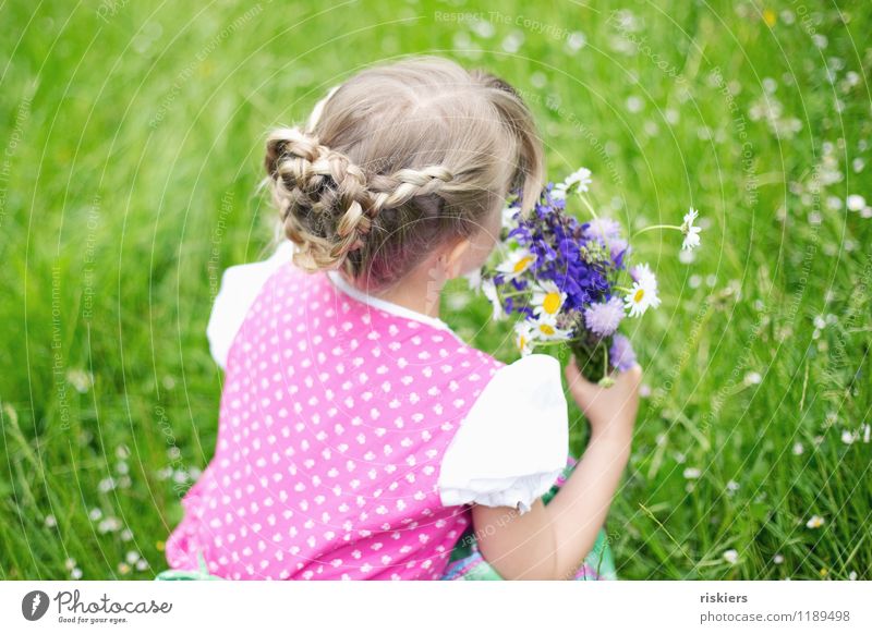 meadow child Human being Feminine Child Girl Infancy 1 3 - 8 years Environment Nature Spring Summer Flower Bouquet Meadow Discover To hold on Looking Dream