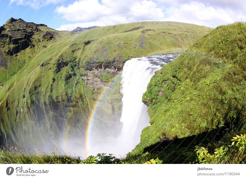 Skógarfoss Environment Nature Landscape Plant Elements Water Sky Clouds Sun Beautiful weather Fog Rock Canyon River Waterfall skogarfoss Rainbow Grass Iceland