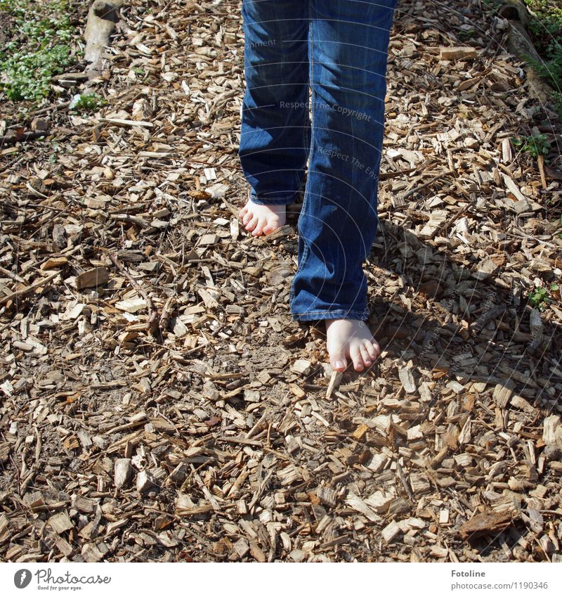 Finally barefoot again! Human being Child Infancy Feet 1 Bright Warmth Blue Brown Barefoot barefoot path Jeans Denim blue Wood shavings Floor covering