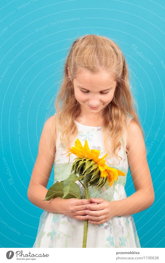 Girl with sunflower Beautiful Summer Child 1 Human being 8 - 13 years Infancy Blossom Dress Blonde Smiling Small Blue cheerful one spring Sunflower Vertical