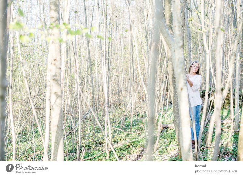 Young woman in forest behind trees Lifestyle Style Leisure and hobbies Trip Adventure Human being Feminine Youth (Young adults) Adults 1 18 - 30 years Tree