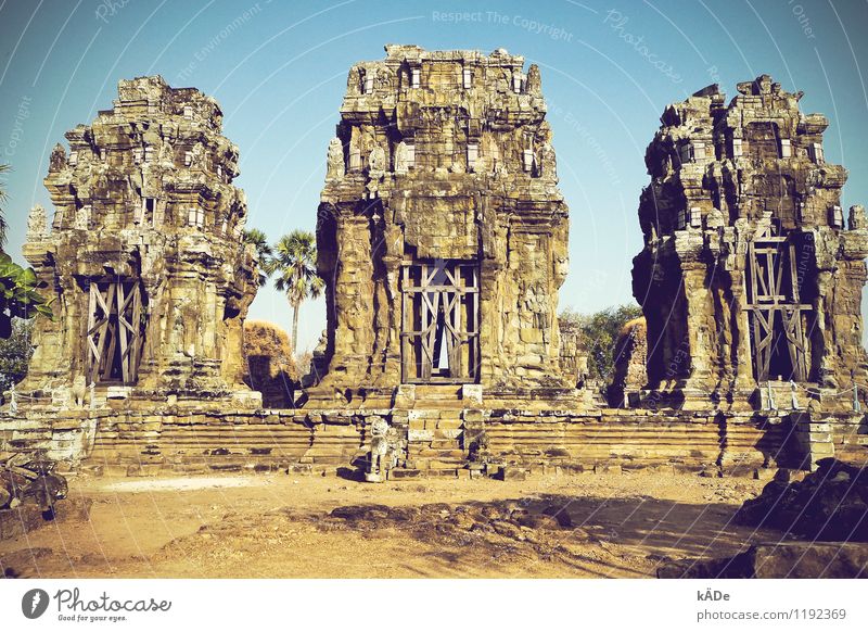 Stronger then me Architecture Environment Cloudless sky Summer Beautiful weather Warmth Palm tree Park Cambodia Old town Deserted Church Ruin Tower