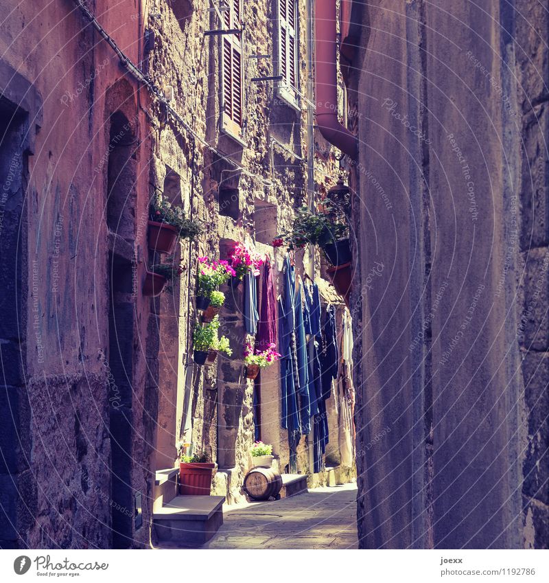 citizen proximity Corniglia Italy Village Fishing village House (Residential Structure) Wall (barrier) Wall (building) Facade Old Historic Beautiful