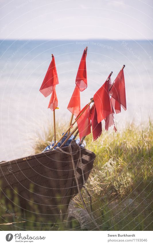 Hoist the flags Vacation & Travel Tourism Trip Adventure Far-off places Freedom Summer Sun Beach Ocean Island Environment Nature Landscape Coast Bay Baltic Sea