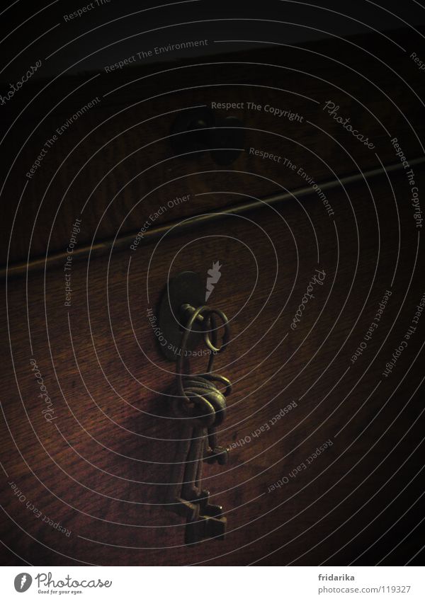which key fits Wood Metal Lock Key Brown Keyhole Chest Keep Detail Copy Space top Section of image Closure Close Crate Wooden box Lockable