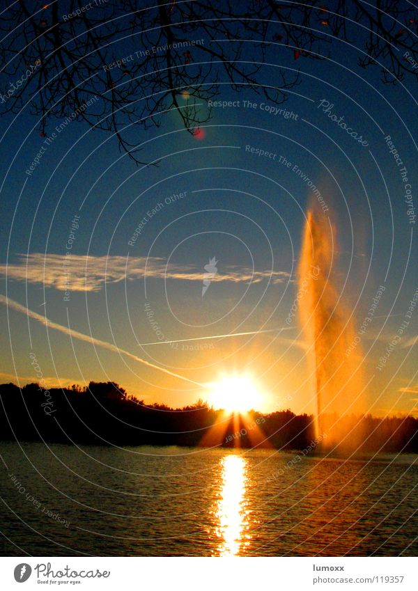fountain Light Reflection Back-light Sun Water Sky Clouds Tree Lake Airplane Blue Yellow Sunset Fountain Madrid Spain Water fountain Branch Vapor trail