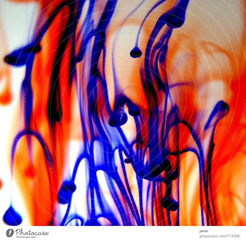 united colour Multicoloured Red Ink Abstract Macro (Extreme close-up) Close-up Beautiful Colour Blue Orange Water jarts