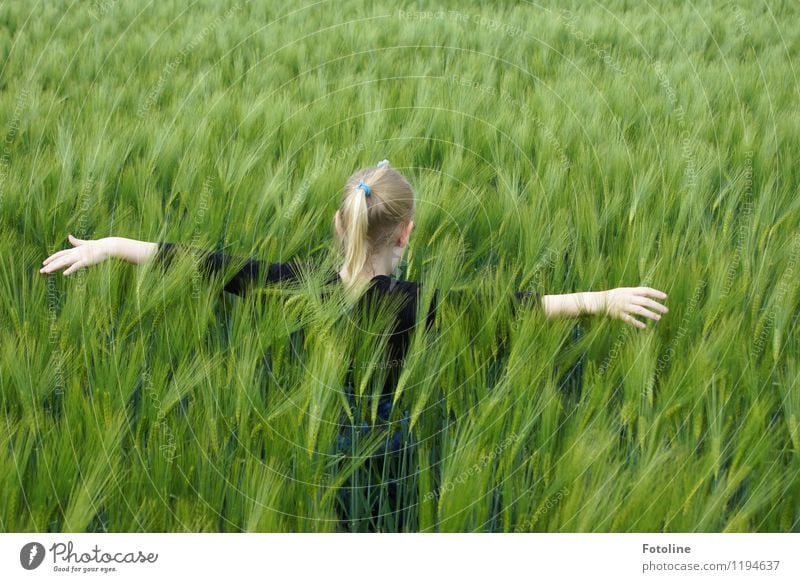 So soft! Human being Feminine Child Girl Infancy Head Hair and hairstyles Arm Hand Fingers 1 Environment Nature Beautiful weather Plant Agricultural crop Field