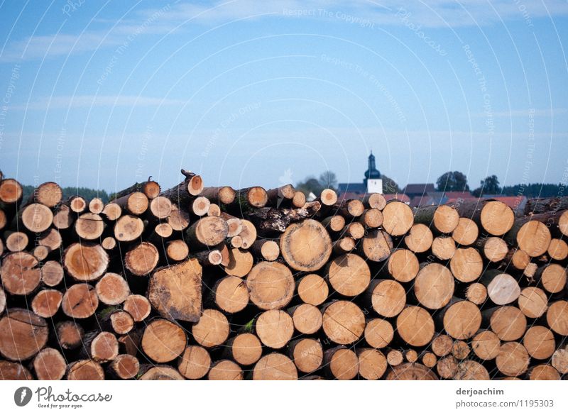 Large pile of wood in front of a Franconian village. In the background you can still see the church spire Spitze Trip Agriculture Forestry Energy industry