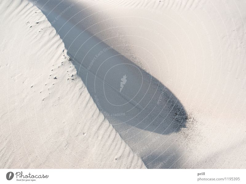 abstract sand Summer Beach Waves Nature Sand Warmth Hill Coast Desert Flock Dry Red White Quality sand dune Dune sunny detail Heap Accumulation Fine Grain