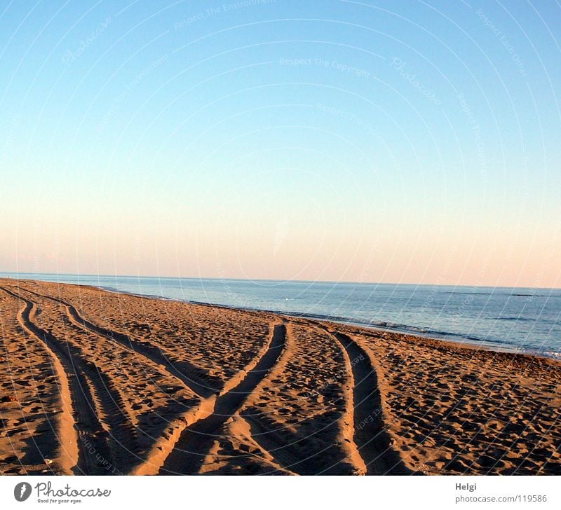 Tire tracks in the sand on the beach in the evening sun Tracks Tractor track Beach Coast Ocean Lake Sea water Waves Surf Sun Horizon Pebble Vacation & Travel