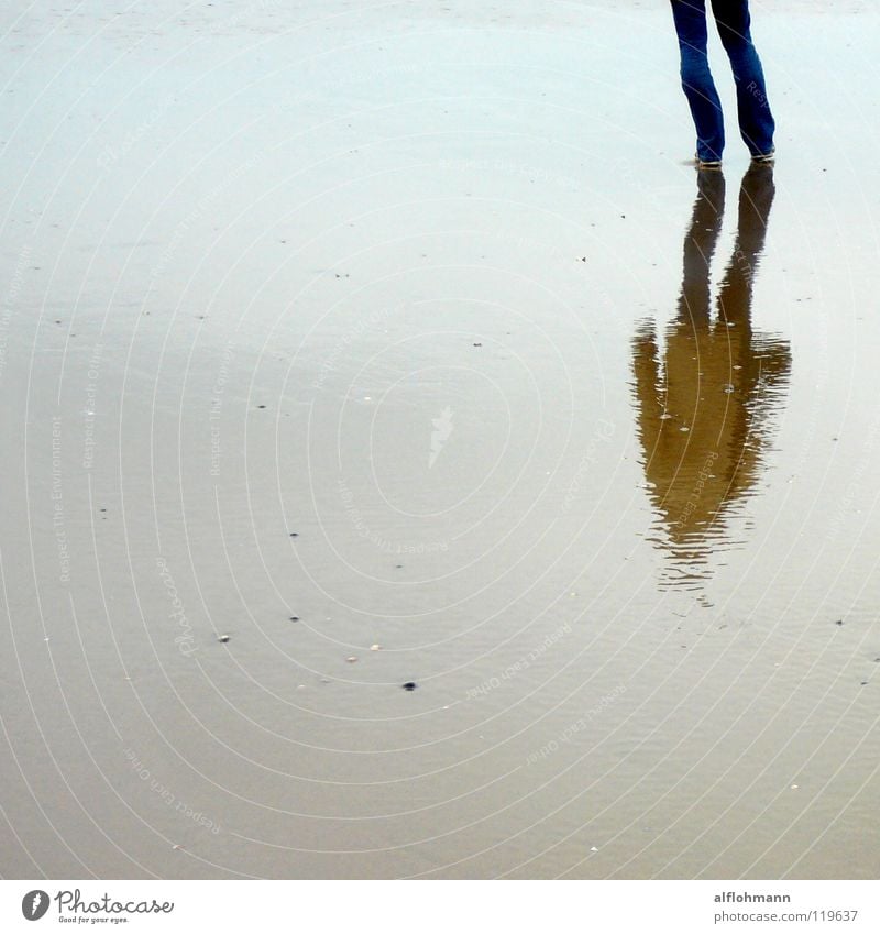 Wet Shadow Coast Netherlands Ocean Reflection Woman Footwear Pants Jacket Mud flats Seaweed Water Feet Blue Sand Wind invisible gnomes rippling the water