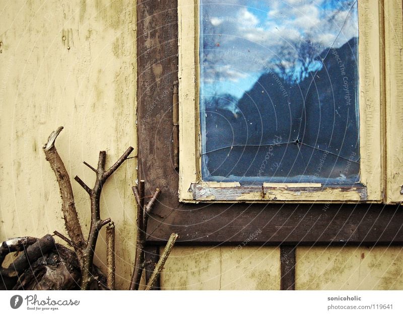 bullet hole Hollow Window Window frame Wood Jump Past Loneliness Gloomy Transience Shot Sky Branch Old