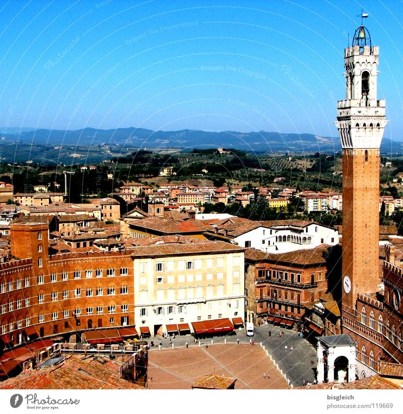 Piazza del Campo, Siena (Italy) Colour photo Exterior shot Copy Space top Bird's-eye view Europe Town Places City hall Tower Manmade structures