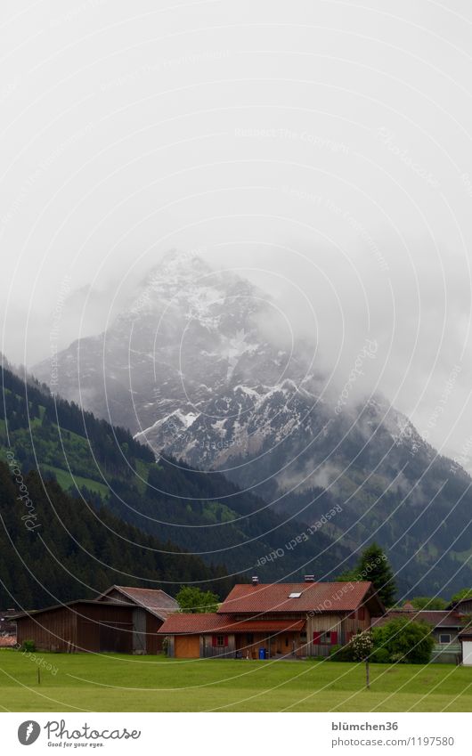 Allgäu in May Nature Landscape Sky Spring Weather Snow Mountain ruby horn Oberstdorf Allgäu Alps Village House (Residential Structure) Detached house Adventure