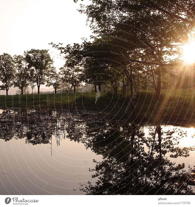 ...and tomorrow I'll come again Pond Lake Body of water Meadow Sunbeam Sunset Sunlight Twilight Light Tree Reflection Exterior shot Habitat Calm