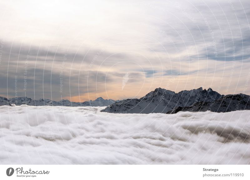 Overview of the Clouds Fog Sea of fog Peak Canton Graubünden Alpine Switzerland Winter Cold Sky Mountain Snow Alps lenzerheide Piz Scalottas Vantage point Tall