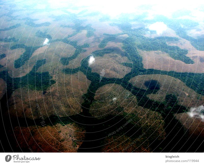 Cameroon from above IV Colour photo Aerial photograph Deserted Bird's-eye view Far-off places Mountain Clouds Forest Virgin forest Africa Airplane Flying