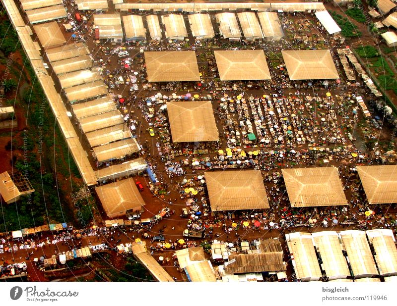 Cameroon from above V Colour photo Aerial photograph Bird's-eye view House (Residential Structure) Yaounde Africa Town Capital city Marketplace